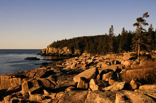 Acadia National Park — Stock fotografie