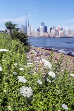 New York City 4th Temmuz 201