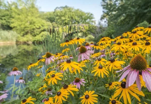 Ponte di Gapstow Central Park, New York — Foto Stock