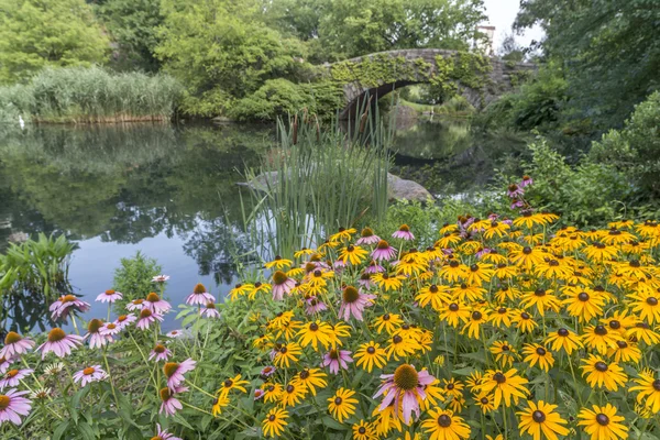 Puente de Gapstow Central Park, Nueva York — Foto de Stock