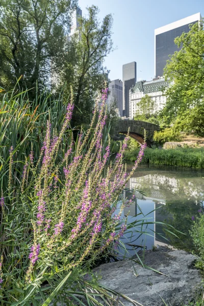 Puente de Gapstow Central Park, Nueva York — Foto de Stock