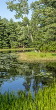 Silver Lake'de Sullivan şehristanı