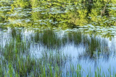 Silver Lake'de Sullivan şehristanı