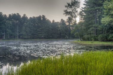 Silver Lake'de Sullivan şehristanı
