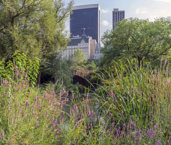 Gapstow bridge Central Park, New York City — Stock Photo, Image