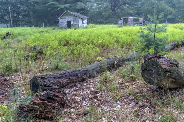 Antiguo cobertizo en bosque — Foto de Stock