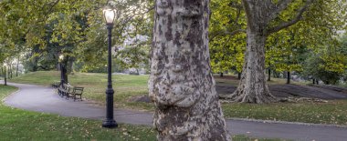 Erken sabah Central Park, New York City