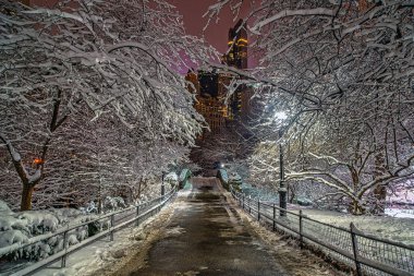 Kar fırtınasından sonra Central Park 'taki Gapstow Köprüsü.