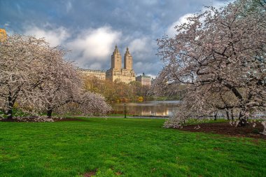 Central Park 'ta bahar, New York City, sabahın erken saatleri.