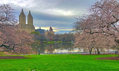Central Park 'taki gölde, New York City, Manhattan