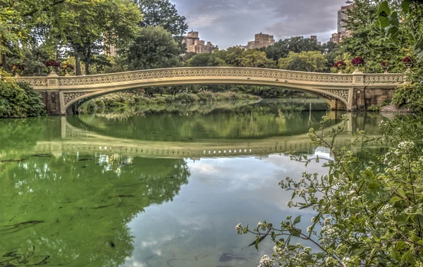 Bow bridge central park — Stockfoto