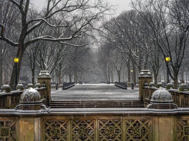 Central Park 'taki alışveriş merkezi, New York Şehri, kar fırtınası sırasında.
