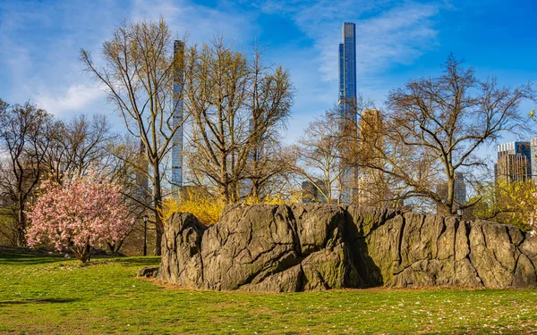 Central Park 'ta bahar, New York Şehri, sabah erkenden