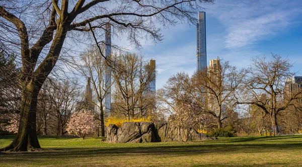 Central Park 'ta bahar, New York Şehri, sabah erkenden