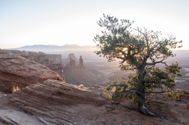 Canyonlands Milli Parkı