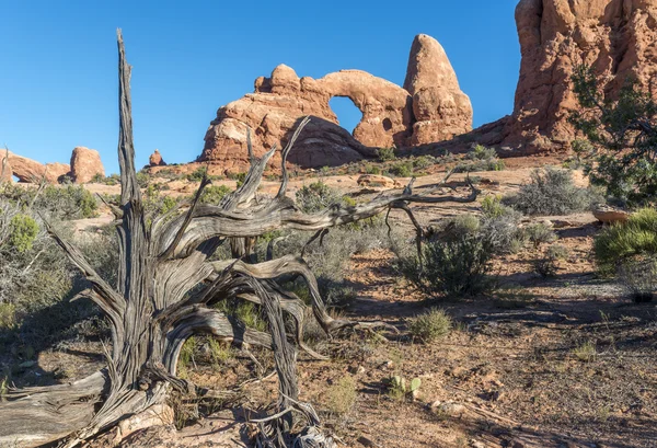 Nationaal park Arches — Stockfoto