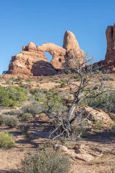 Nationaal park Arches — Stockfoto