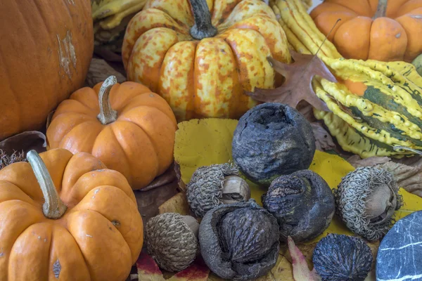 Herbstliche Studioszene im Herbst — Stockfoto