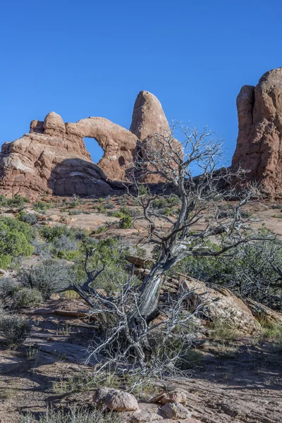 Nationaal park Arches — Stockfoto