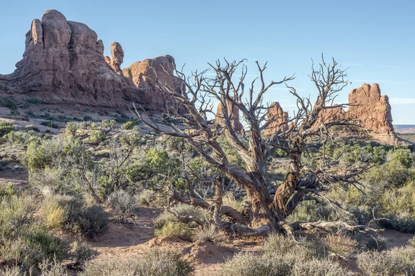 Nationaal park Arches — Stockfoto