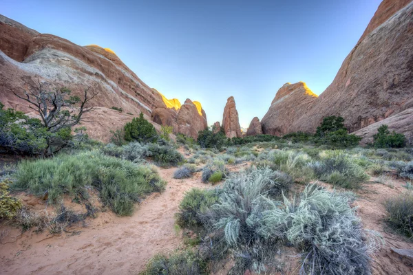 Arches National Park — Stock Photo, Image