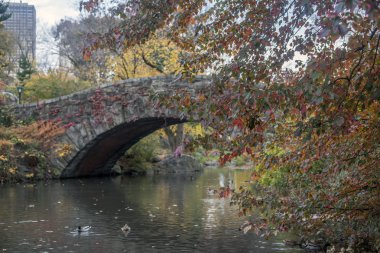 gapstow köprü central park, new york city