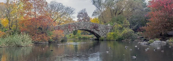 Puente de Gapstow Central Park, Nueva York — Foto de Stock