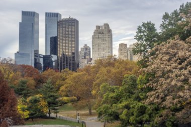 Central Park, New York Şehri