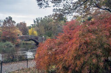 gapstow köprü central park, new york city