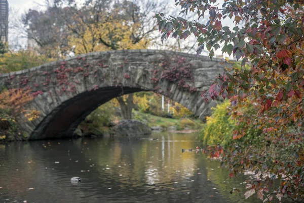 Gapstow overbruggen central park, new york city — Stockfoto