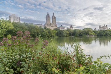 yay köprü Merkez Parkı
