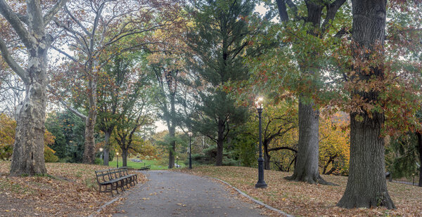 Central Park, New York City in late autumn in early morning after sunrise