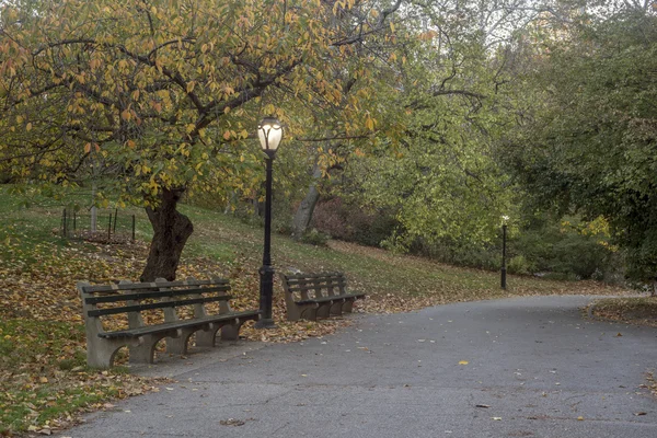 Central Park, New York City — Stockfoto