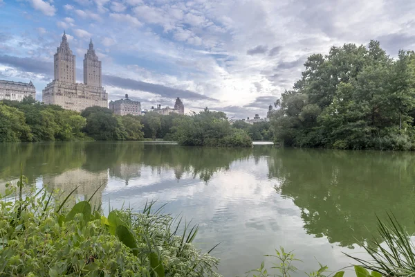 Boog brug central park — Stockfoto