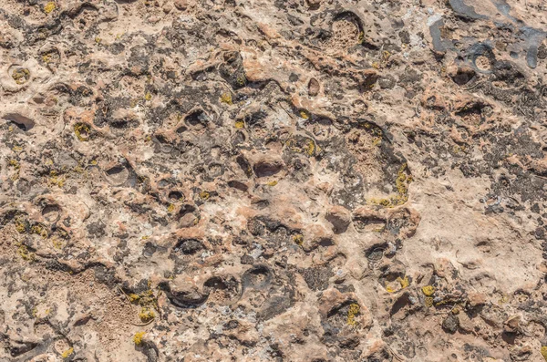 キャニオンランズ砂漠表面 — ストック写真