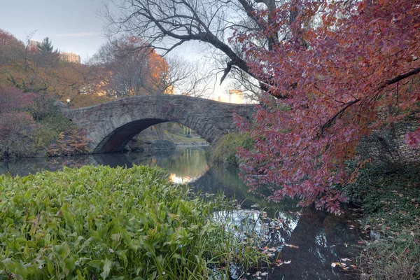 Puente de Gapstow - Central Park — Foto de Stock