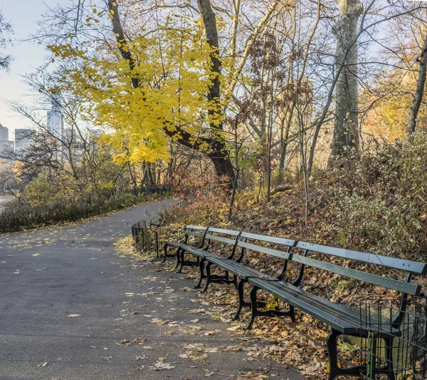 Центральный парк Нью-Йорка — стоковое фото