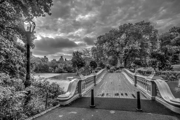 Ponte di prua in estate — Foto Stock