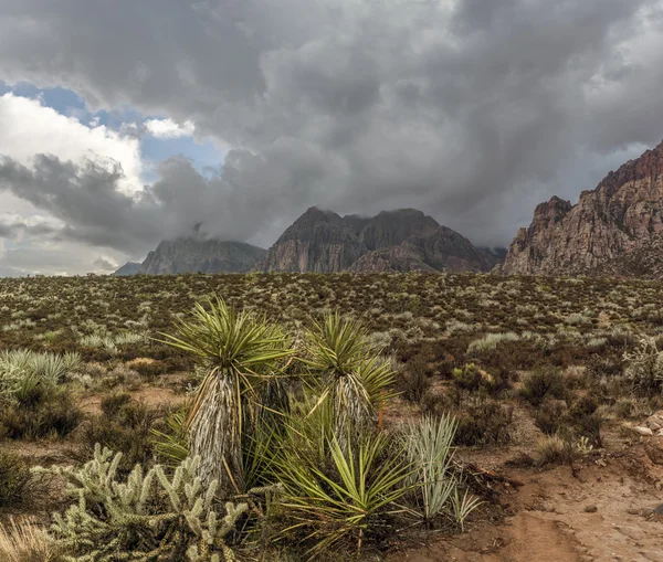 Cañón Red Rock — Foto de Stock