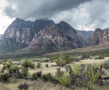  Kızıl Kaya Kanyonu
