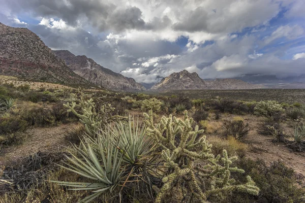 Red Rock Canyon — Stock Photo, Image