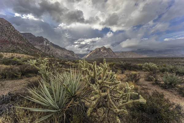 Cañón Red Rock — Foto de Stock