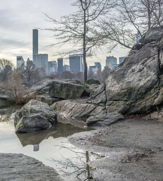 Central Park, New York City — Stock fotografie