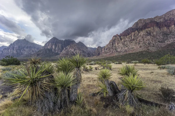 Cañón Red Rock — Foto de Stock