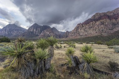  Kızıl Kaya Kanyonu