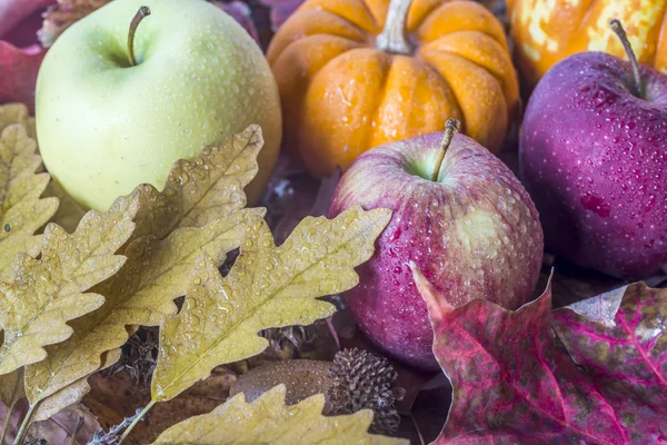 Hojas y manzanas de otoño —  Fotos de Stock