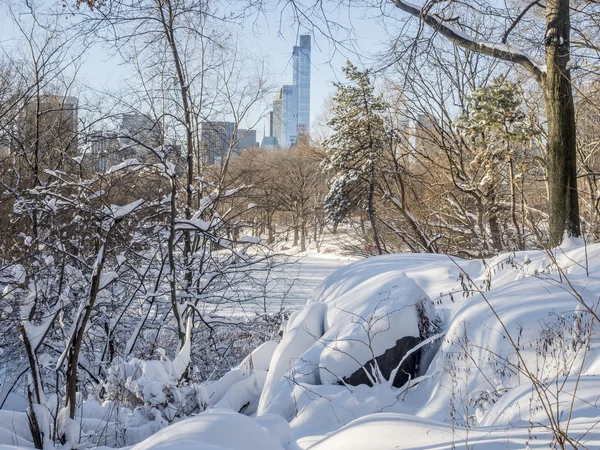 Central Park, Nueva York —  Fotos de Stock