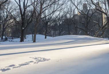 Central Park, New York Şehri