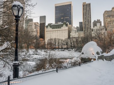 gapstow köprü central park, new york city