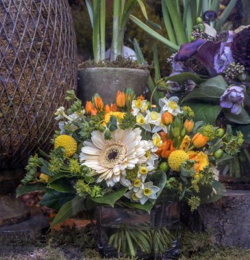 çiçek buketi Barberton daisy, Gerbera jamesonii